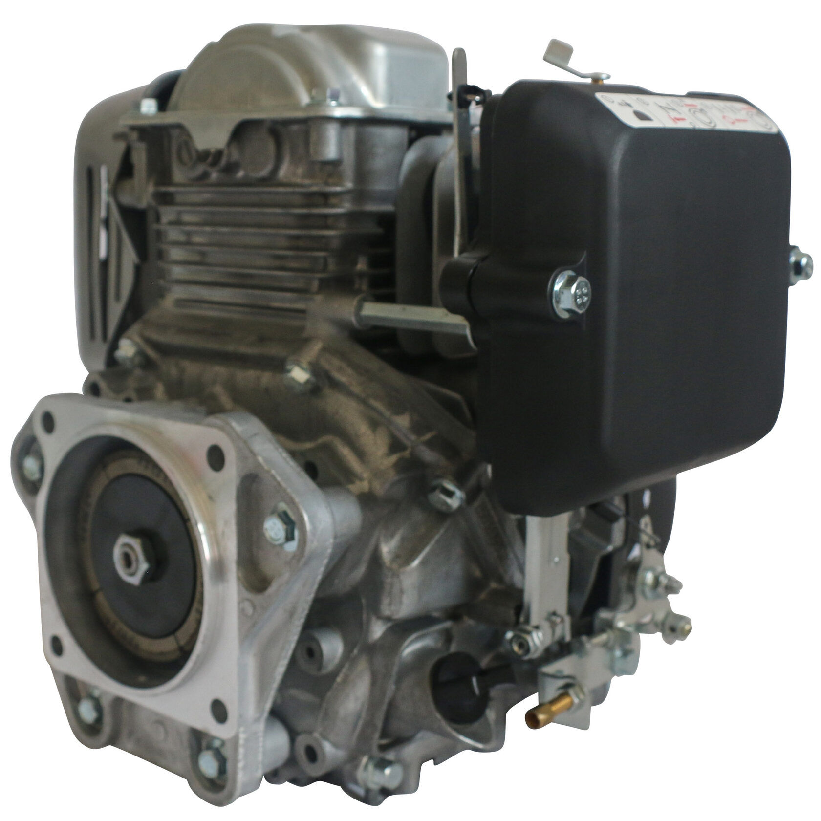 Двигатель бензиновый EVOline 156FC (фланец)