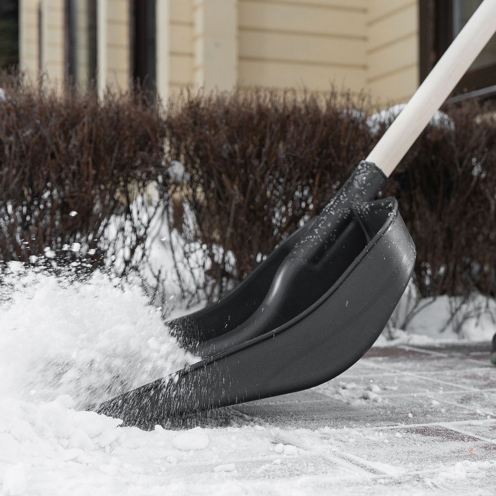 Лопата для уборки снега пластиковая, 360 х 405 х 1550 мм, деревянный черенок в/с, Сибртех (61566)