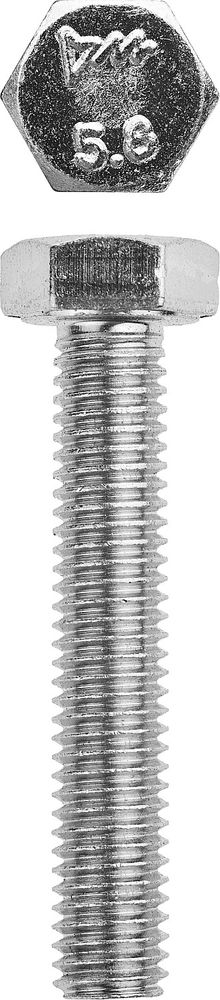 Болт M8 x 50 мм, кл. пр. 5.8, цинк, 5 кг, ГОСТ 7798-70 ЗУБР 303080-08-050