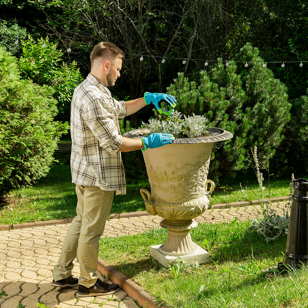 Секатор цветочный, 220 мм, двухкомпонентные рукоятки, Palisad (60487)