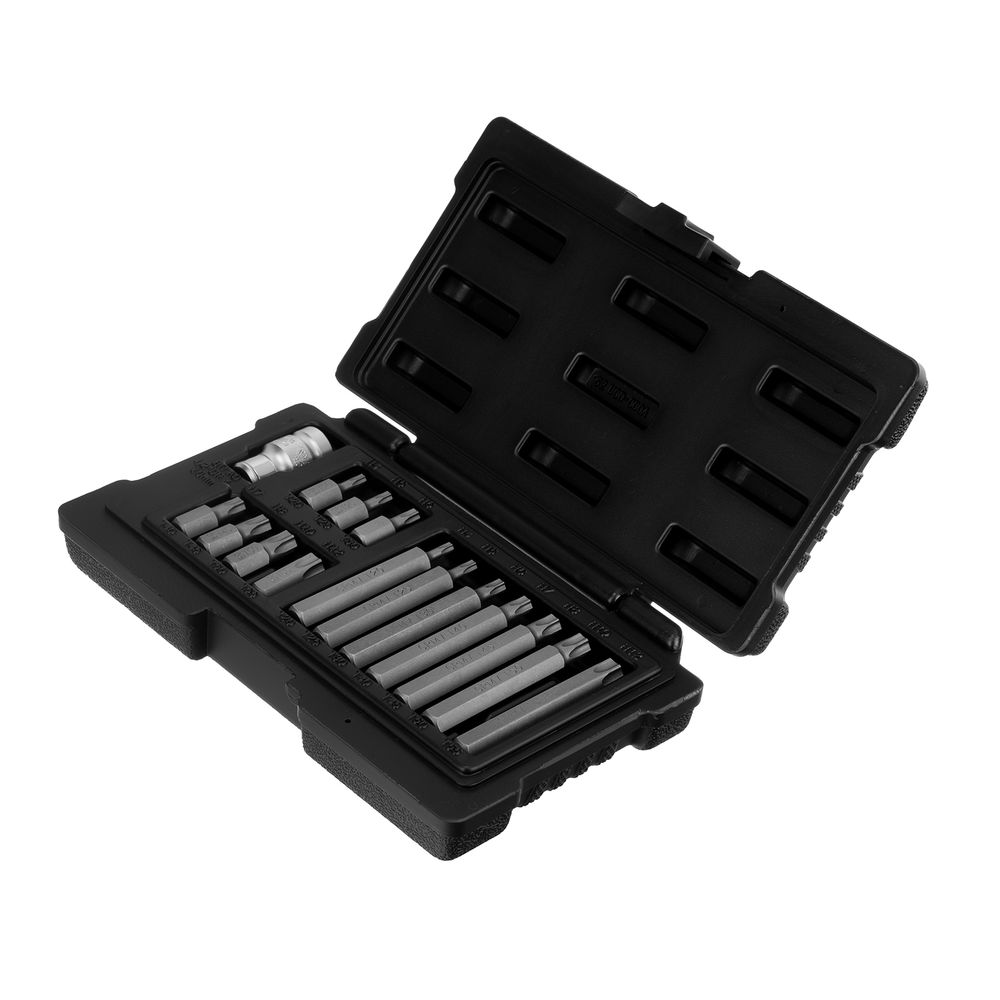 Набор бит TORX, хвостовик-шестигранник, 10 мм, CrV, 15 предметов Stels (11315)