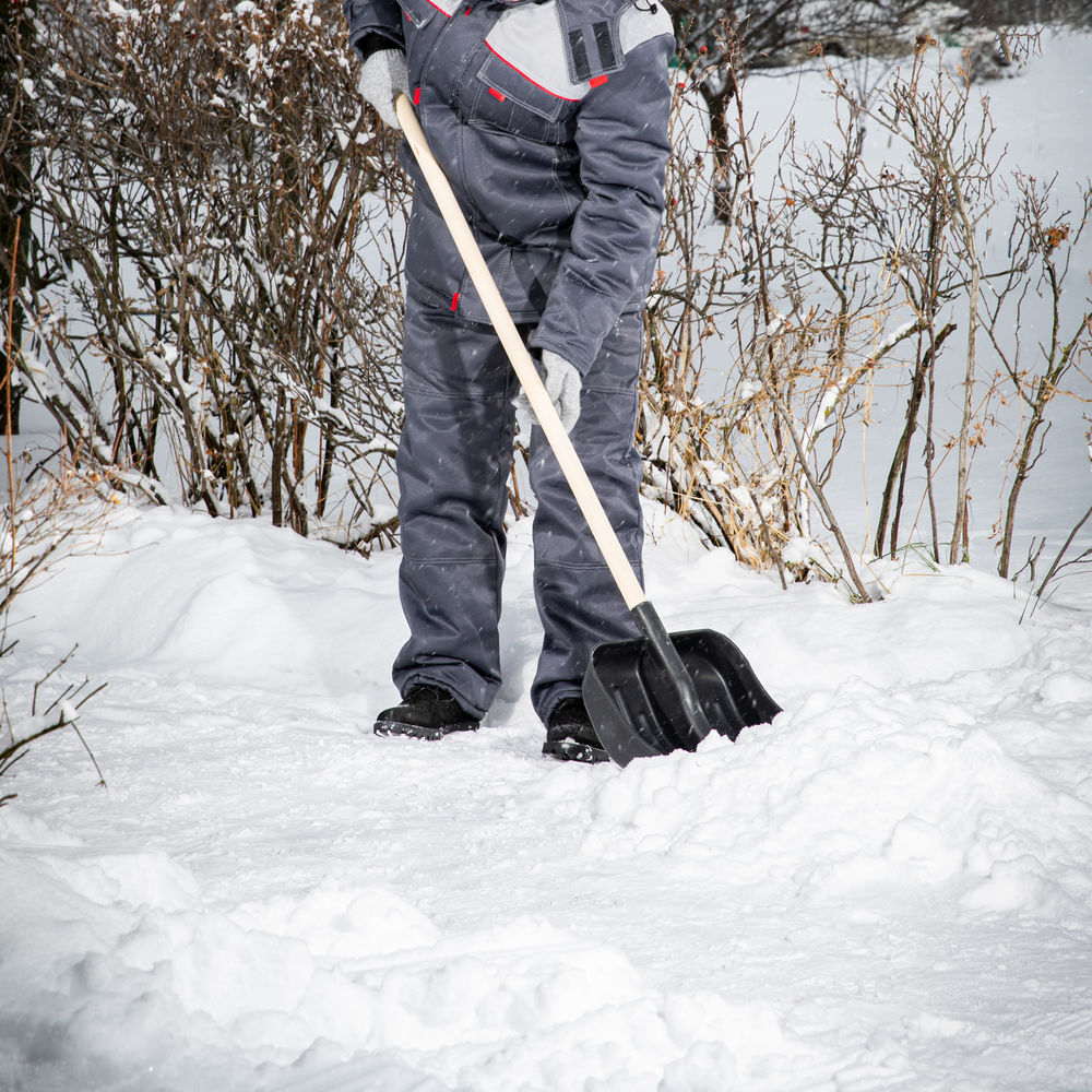 Лопата для уборки снега пластиковая, 360 х 405 х 1550 мм, деревянный черенок 1 сорт, Сибртех (61574)