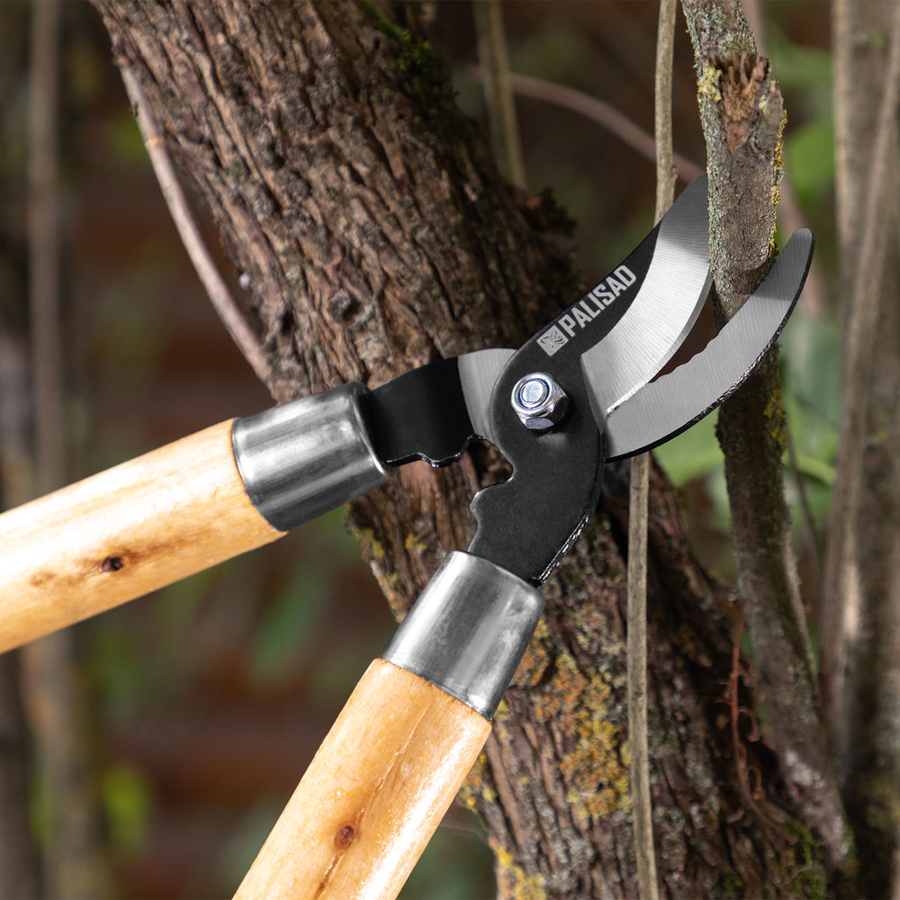 Сучкорез прямого реза, 640 мм, деревянные рукоятки, Palisad (605665)