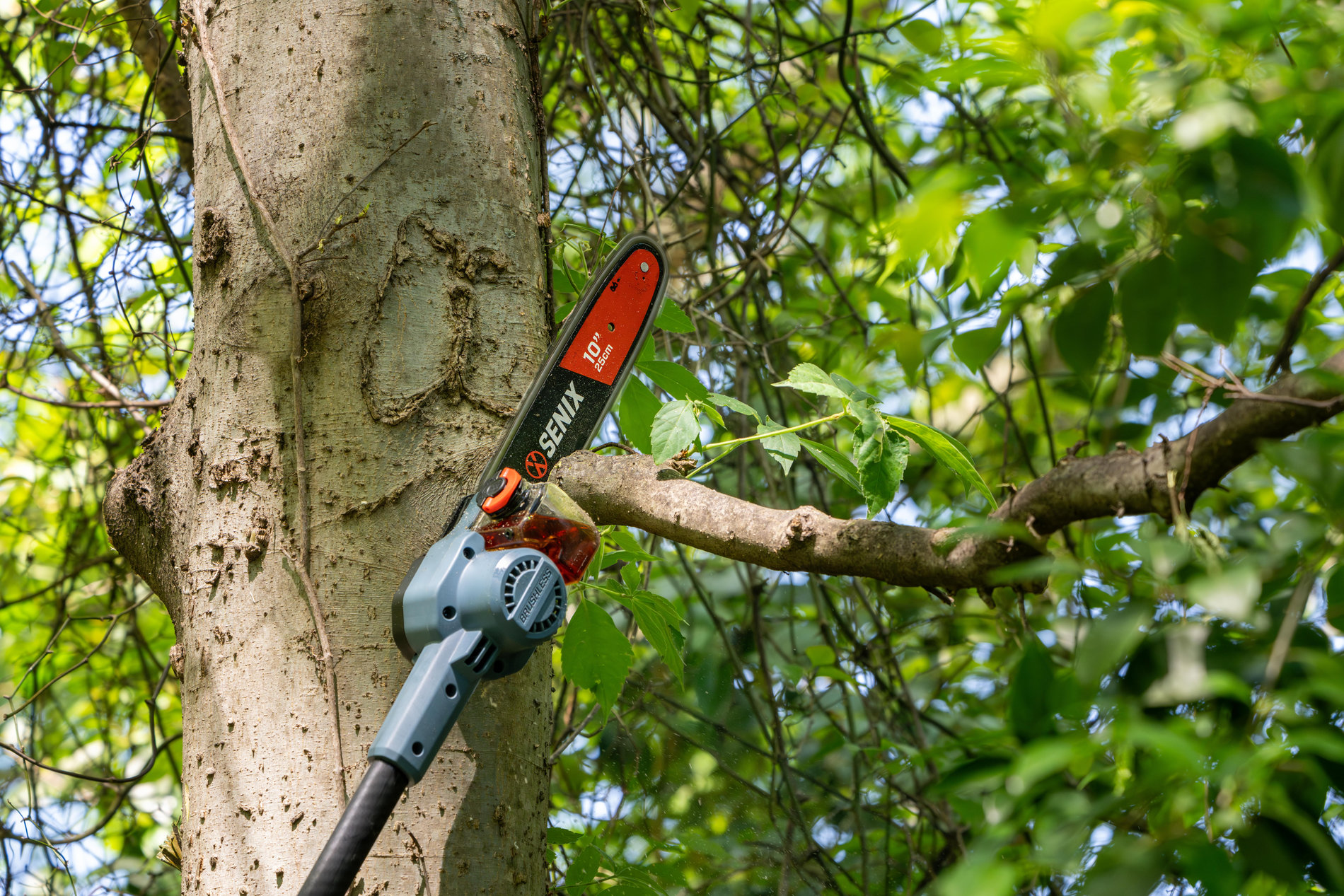 Высоторез/сучкорез, бесщ.мотор, 30 см, Oregon. В комплекте: 1 батарея 3.0Ач, ЗУ X6 60В