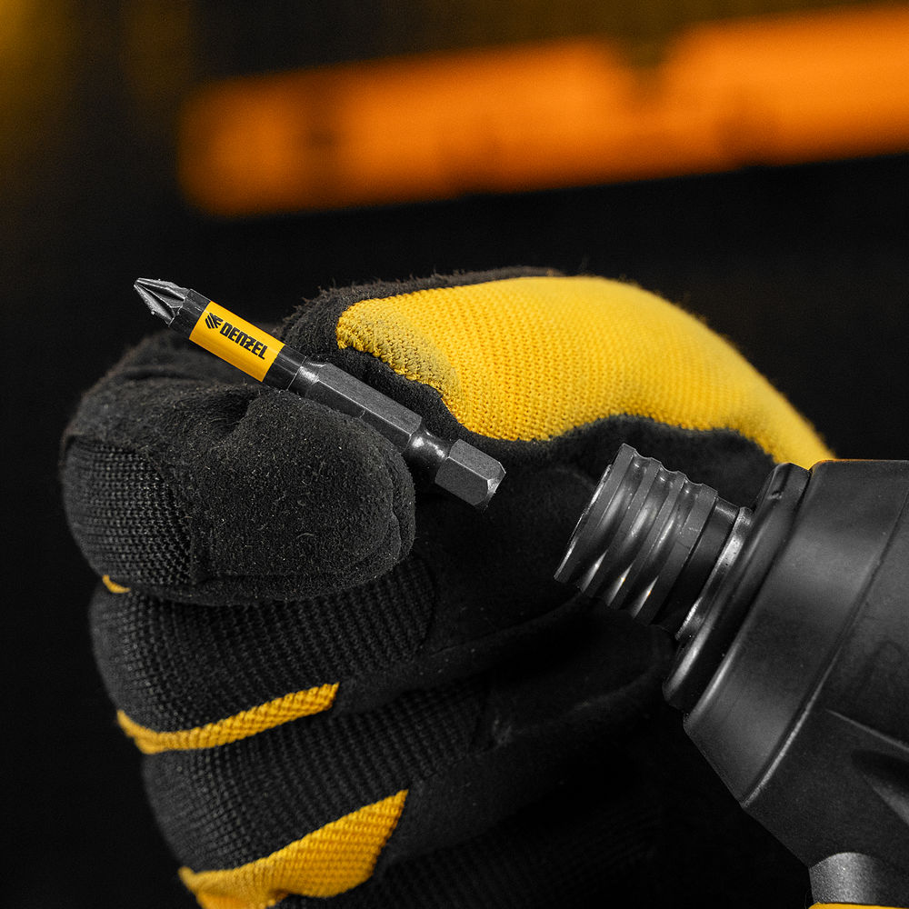 Набор бит комбинированный 3 шт., PZ1, PZ2, PZ3, 50 мм, сталь S2 Denzel (11677)