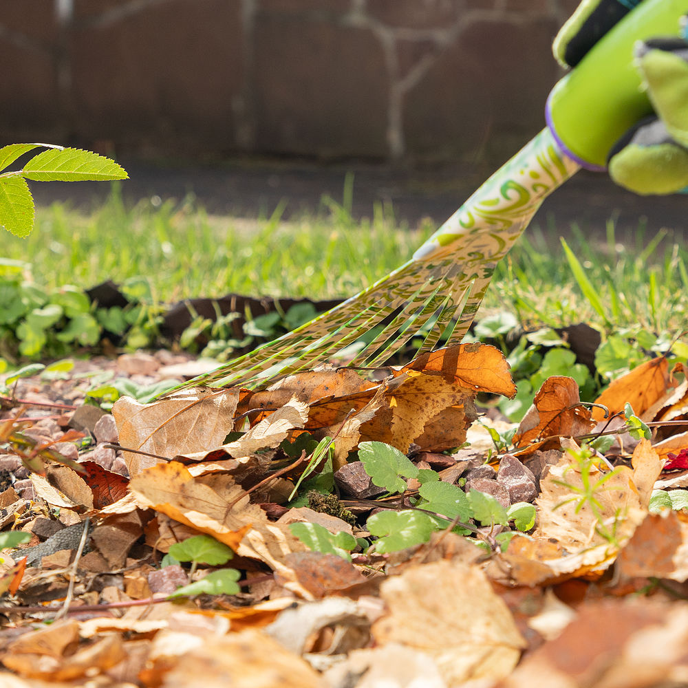 Грабли веерные 9 - зубые, 130 х 415 мм, стальные, пластиковая рукоятка, Flower Green, Palisad (620425)