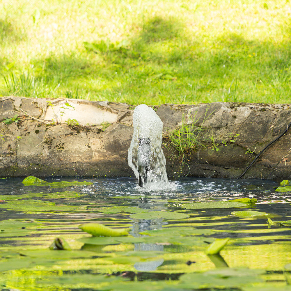 Насос фонтанный FNP90-39, 92 Вт, подъем 3,9 м, 3200 л/ч, колокольчик/каскад/гейзер Denzel (99033)