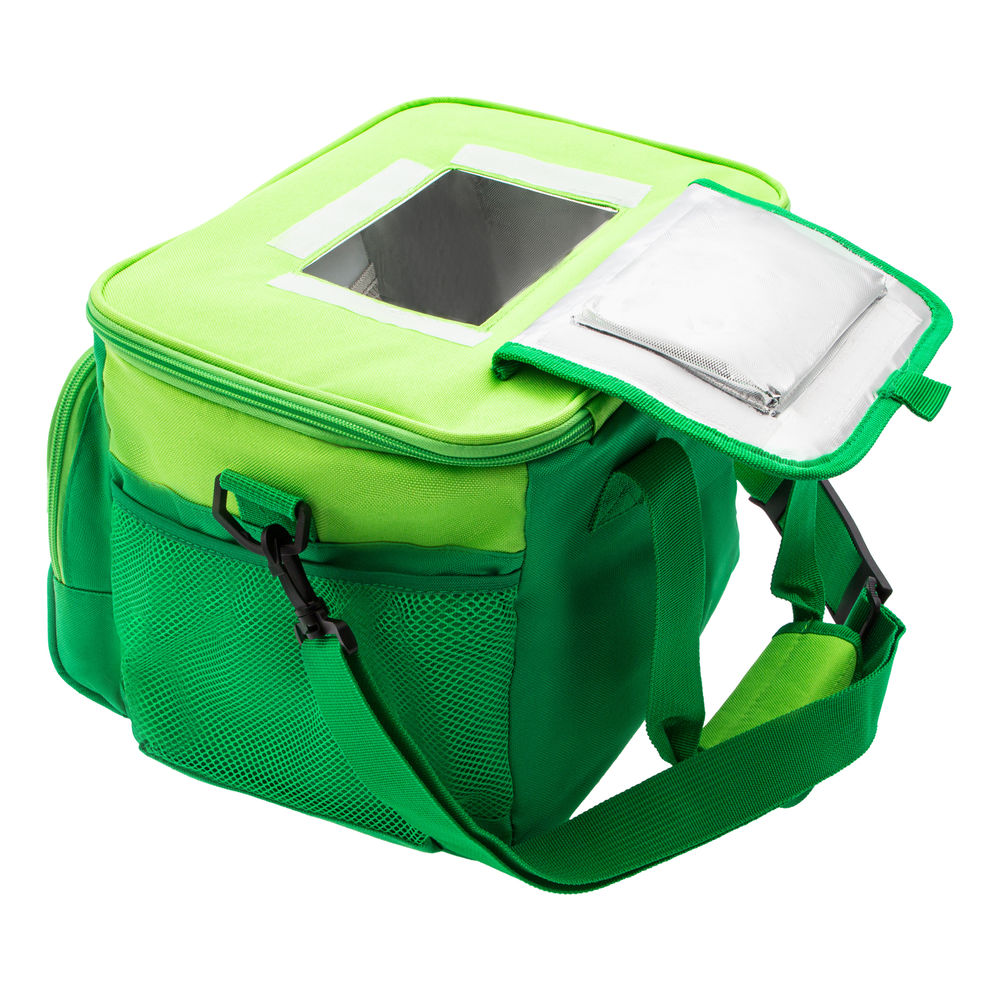 Сумка холодильник 320 x 250 x 240 мм, с двумя охлаждающими блоками Camping Palisad (69597)