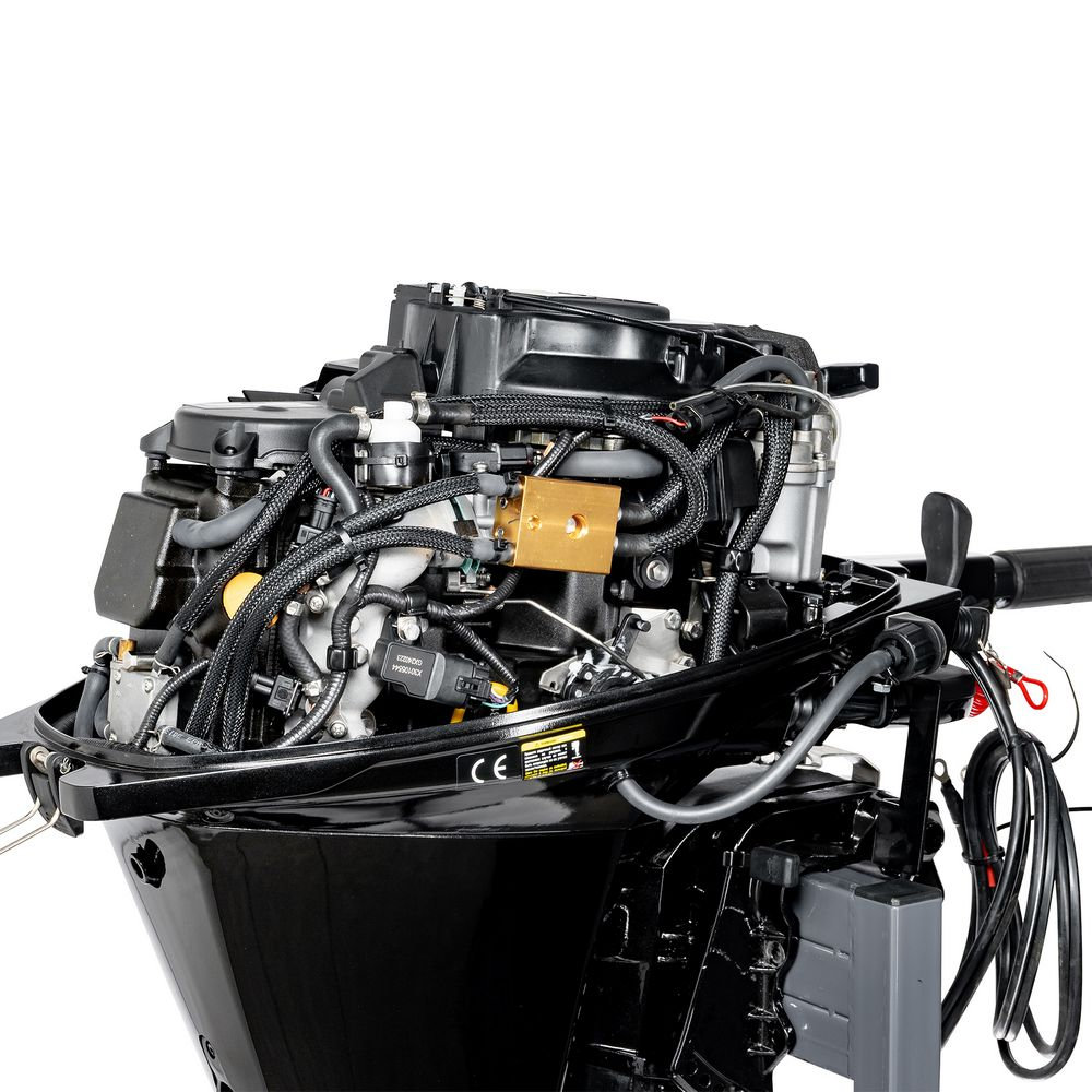 F20ABWS-EFI (F20ABWS-EFI)