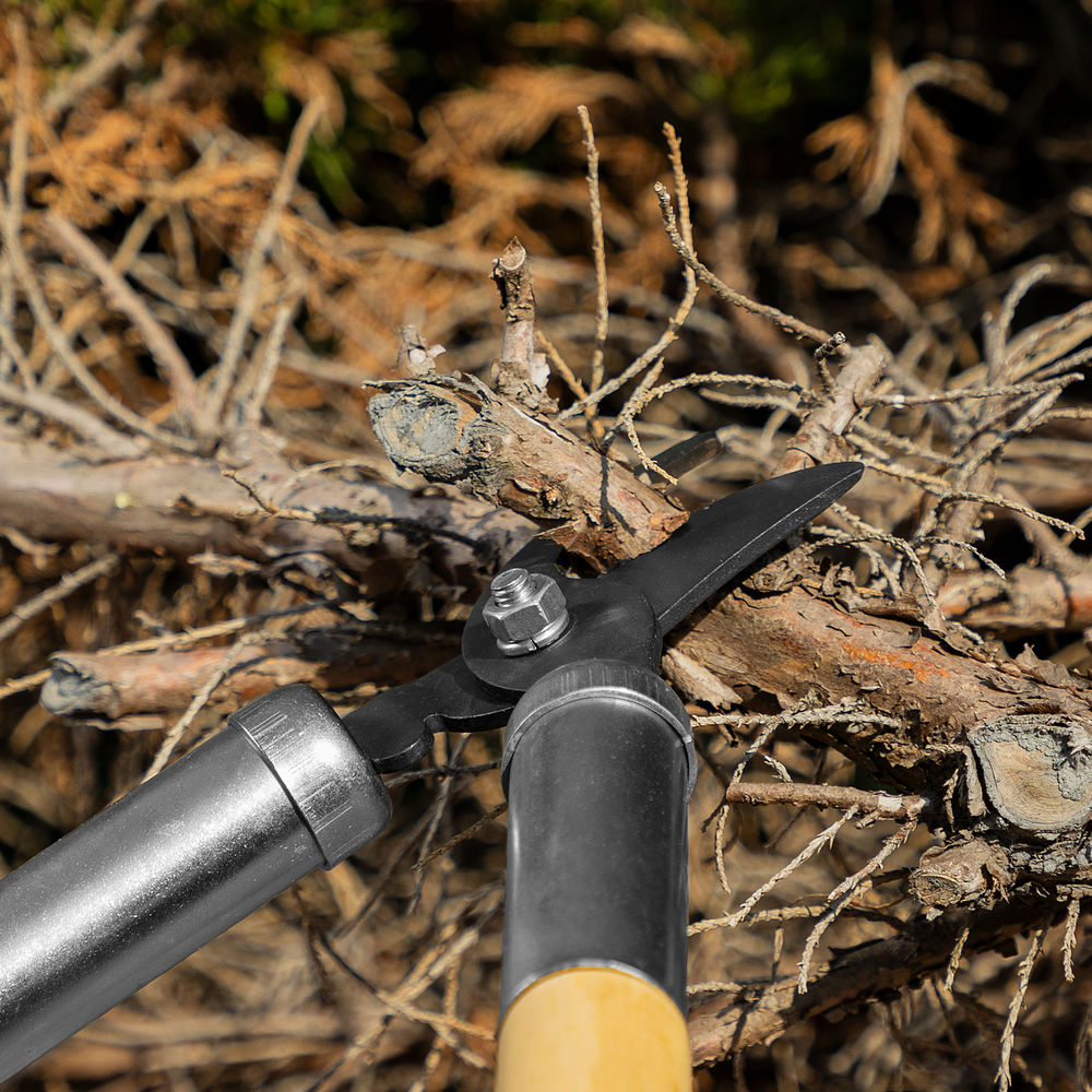 Сучкорез прямого реза, 500 мм, деревянные рукоятки, Горизонт, (60815)