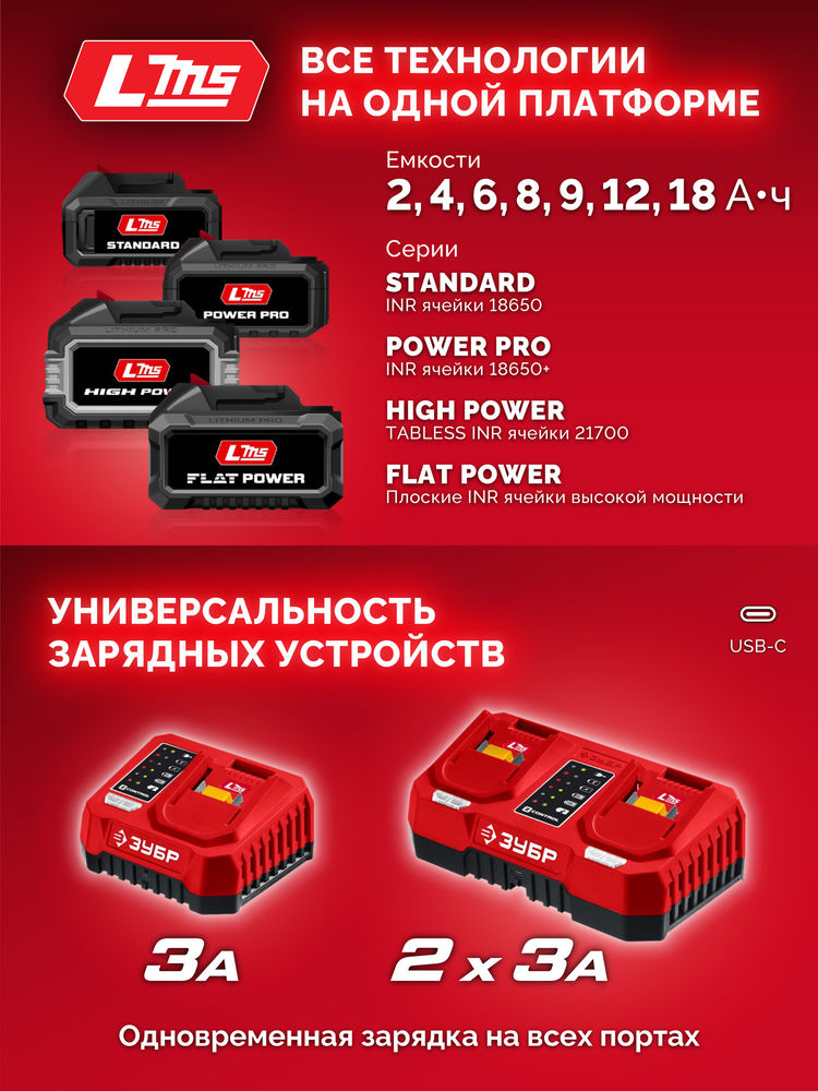 Дрель-шуруповерт ударная бесщеточная 20 В 165 Н·м 2 АКБ LMS 2 А·ч сумка ЗУБР ДБУ-165-22