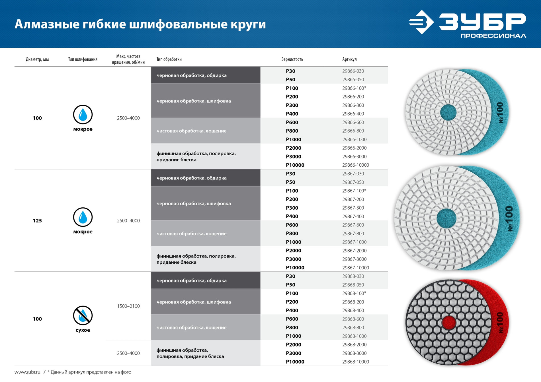 ЗУБР 100 мм, №100, сухое шлифование, алмазный гибкий шлифовальный круг АГШК, Профессионал (29868-100)