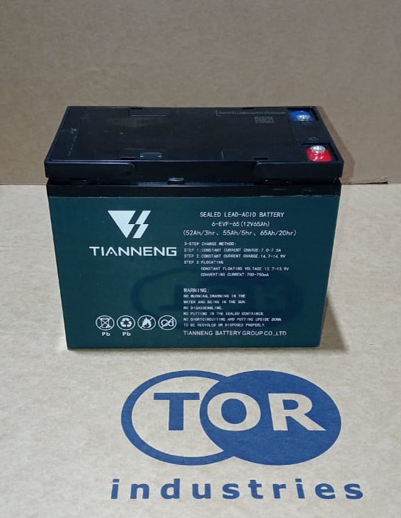 Аккумулятор свинцово-кислотный герм. (GEL) 12В/65Ач 223х135х177 для тележек WPT15-2 (1002565)