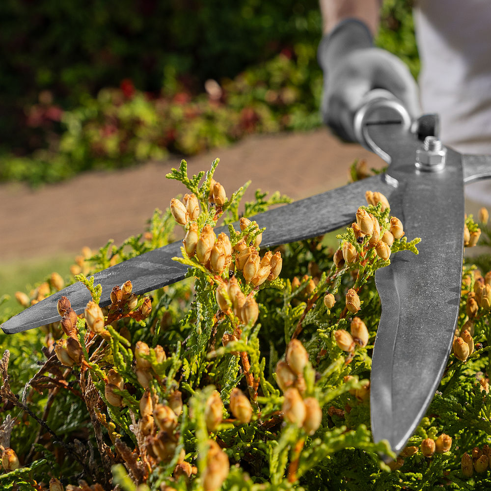 Кусторез, 650 мм, волнистые лезвия, деревянные рукоятки, Горизонт, (60810)