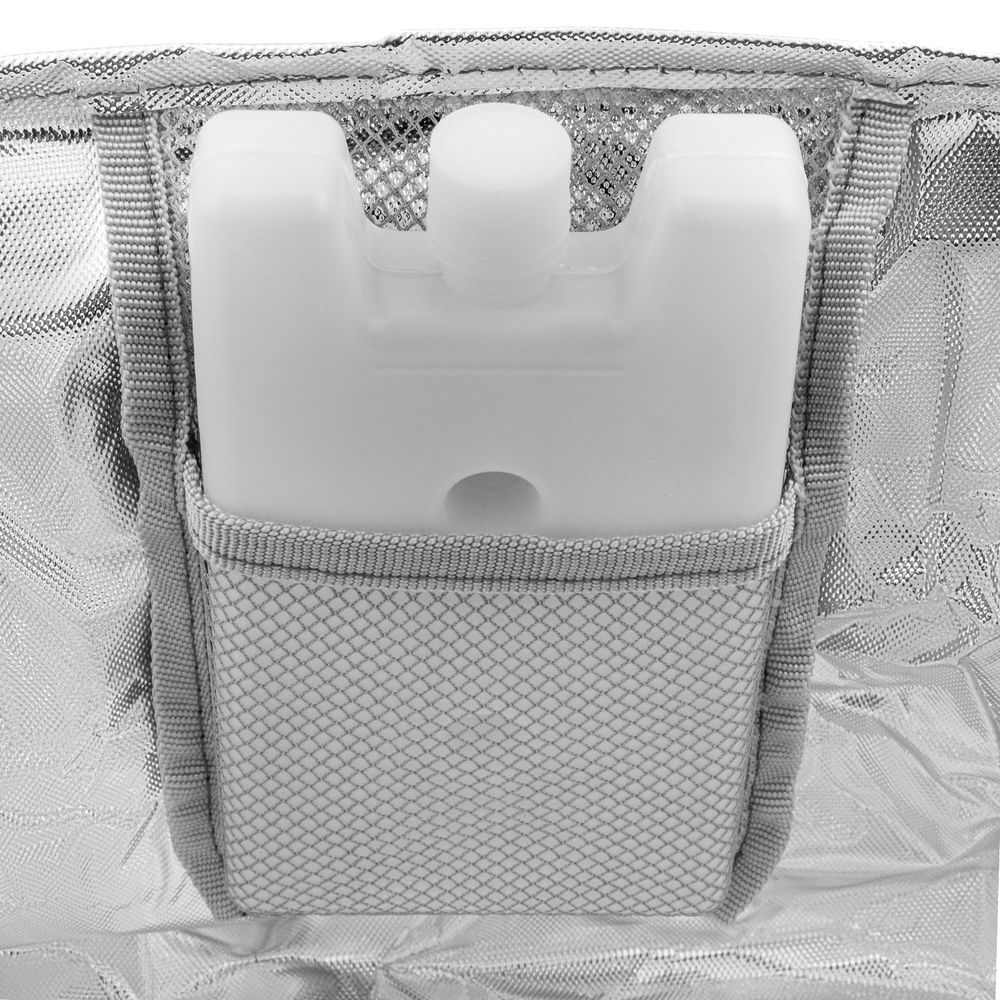 Сумка холодильник 320 x 250 x 240 мм, с двумя охлаждающими блоками Camping Palisad (69597)