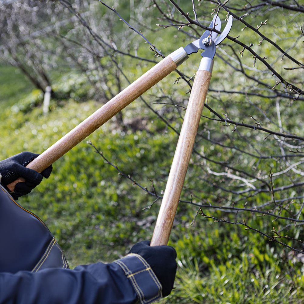 Сучкорез прямого реза, 640 мм, деревянные рукоятки, Palisad (605665)