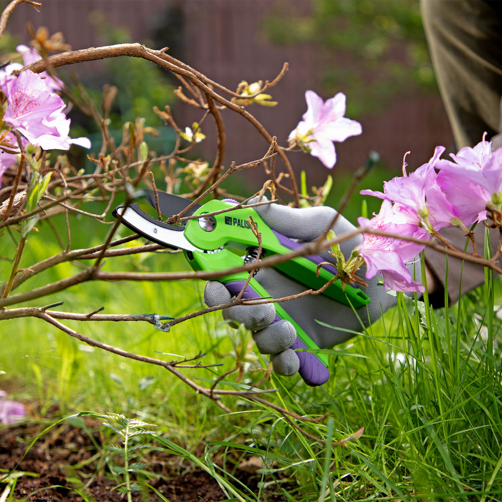Секатор с наковальней, 210 мм, шестеренный привод, двухкомпонентные рукоятки, Palisad (60531)