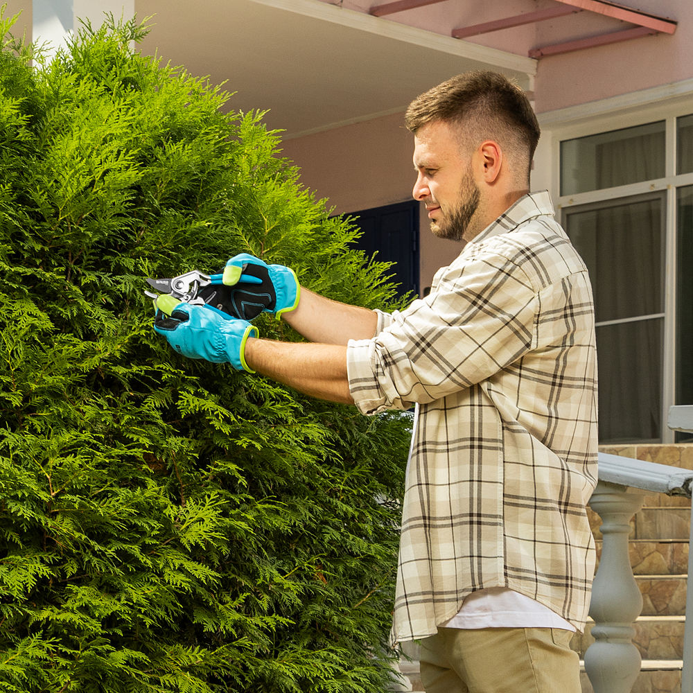 Секатор прямого реза, 205 мм, алюминиевые рукоятки в ПВХ-оболочке, LUXE Palisad (60463)