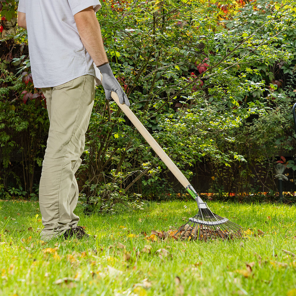 Грабли веерные стальные, 385 мм, 20 плоских зубьев, оксидированные, без черенка, Сибртех (61778)