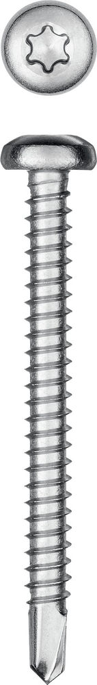 Саморез нержавеющий 50?4.8 мм DS-P А2 сверло полукруглая головка ТХ25 150 шт KRAFTOOL 300931-48-050