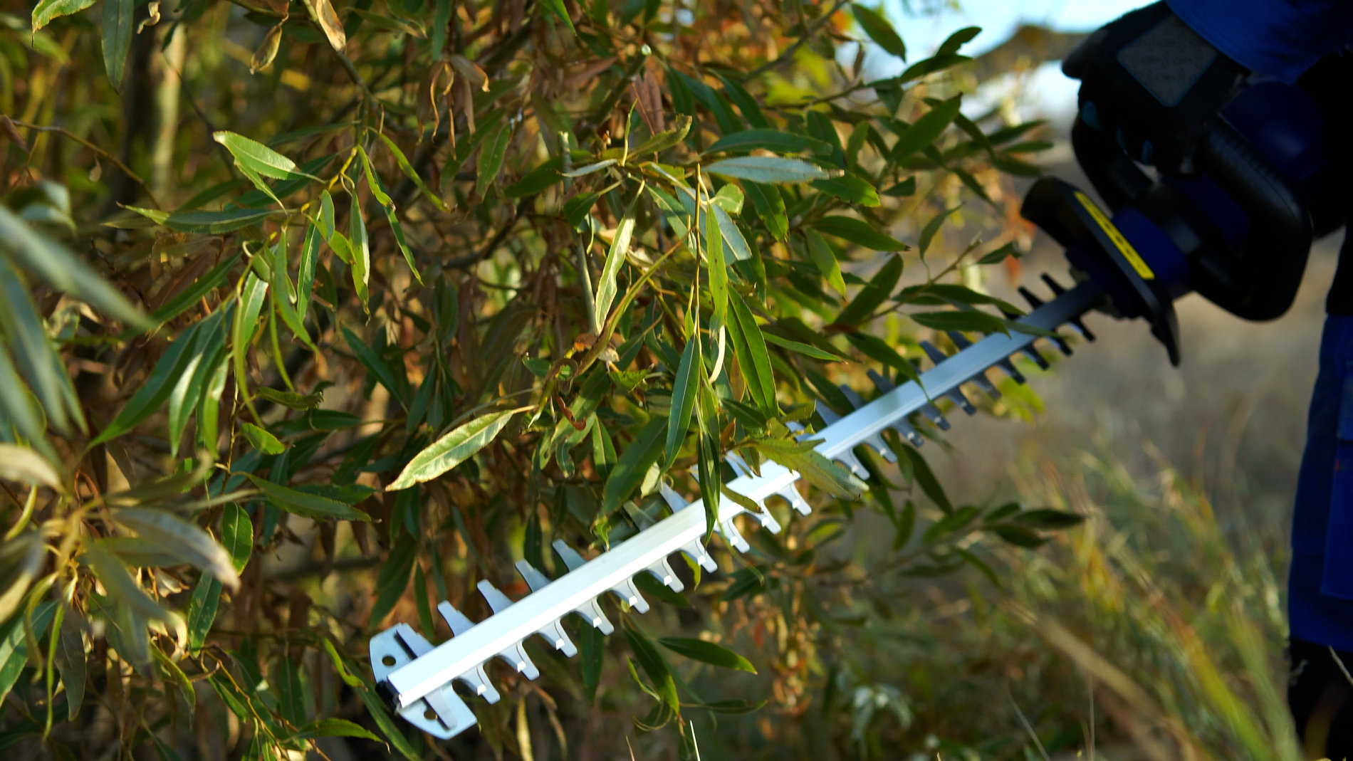 Кусторез аккумуляторный, 58В, 69 см.