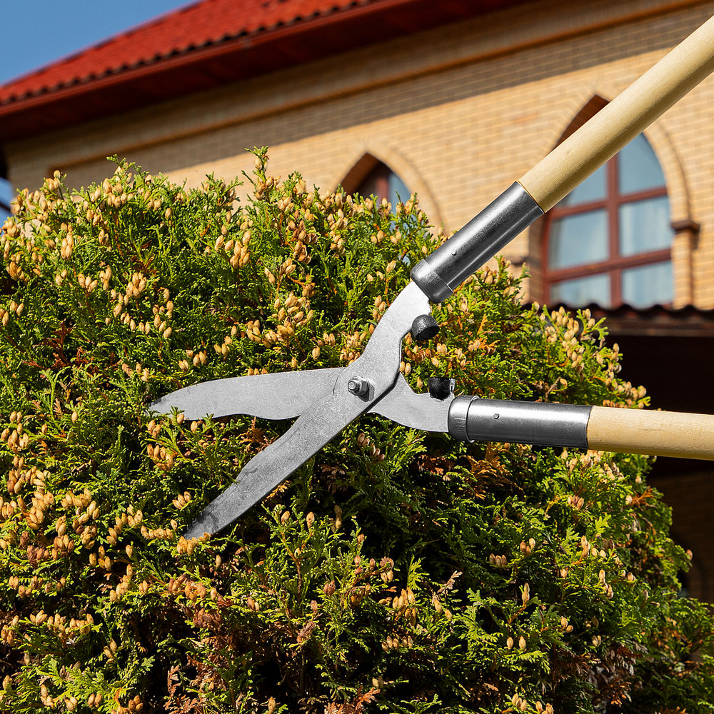 Кусторез, 650 мм, волнистые лезвия, деревянные рукоятки, Горизонт, (60810)