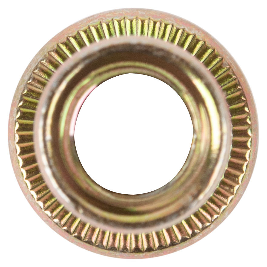 Заклепки резьбовые стальные, мелкая фасовка, М8, 10 шт. (23818)