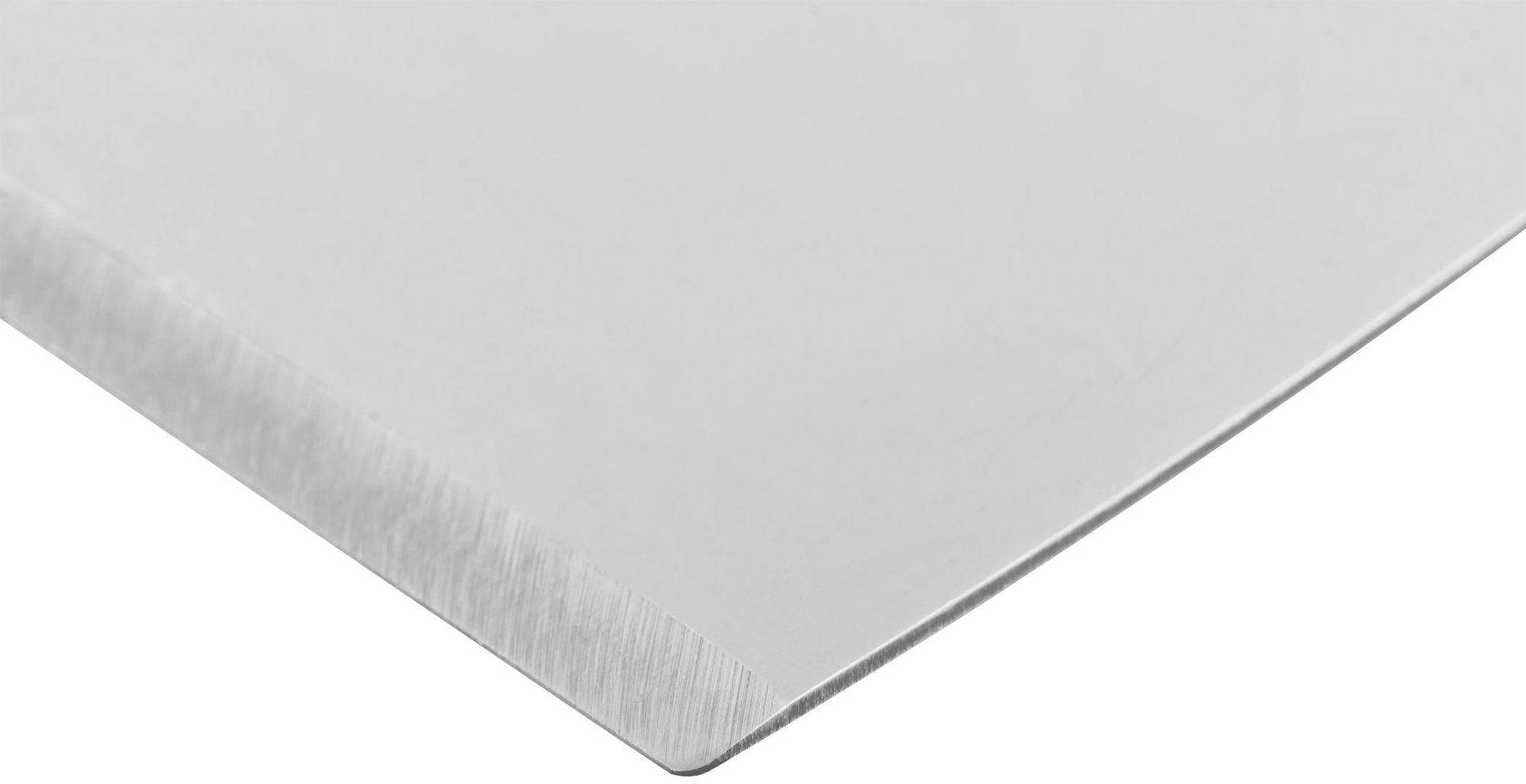 Шпатель для удаления ржавчины Профи, толщ. лезвия 1 мм, пластик.ручка с метал.бойком 4 (100 мм) (06410)