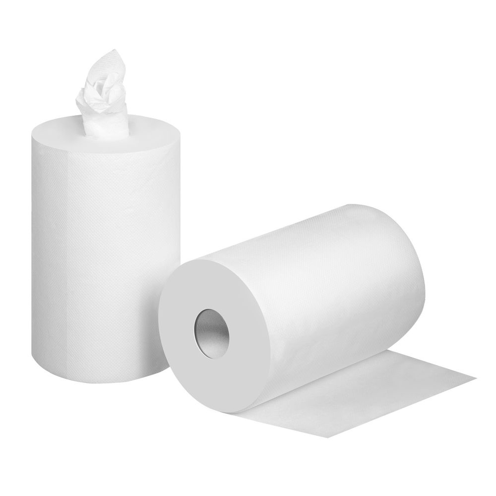 Бумага протирочная 20?25 см, 2-х слойная, в рулоне, 400 листов, 2 рулона ЗУБР Профессионал 12822-20