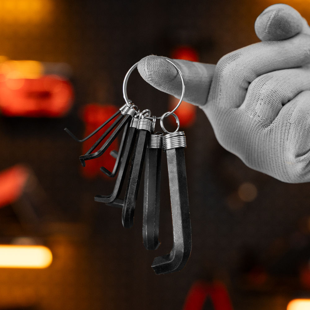 Набор ключей имбусовых HEX, 1.5-10 мм, CrV, 10 шт, оксидированные, на кольце Sparta