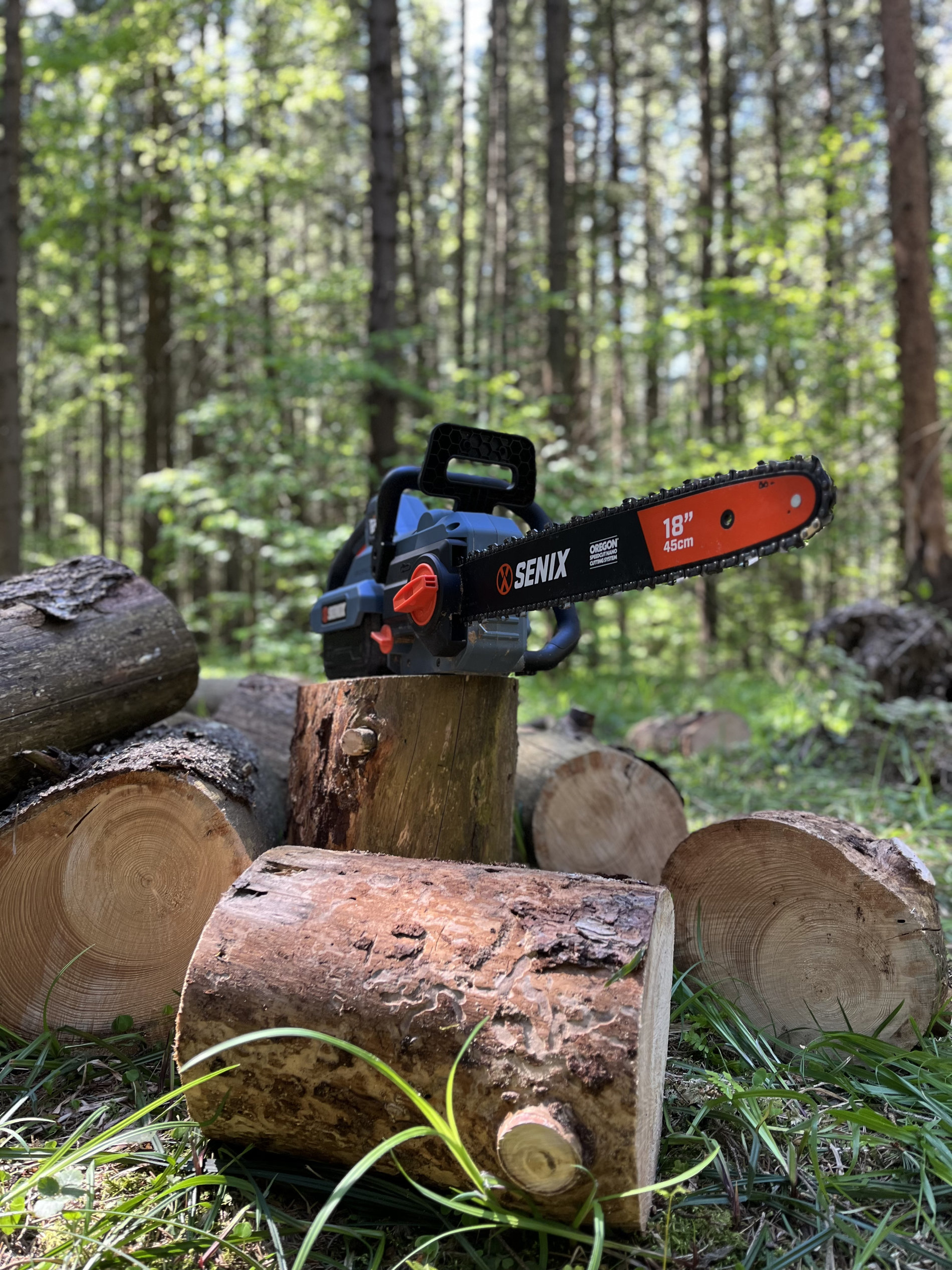 Пила цепная, бесщ.мотор, 45 см (18), Oregon. В комплекте: 1 батарея 4.0Ач, ЗУ X6 60В