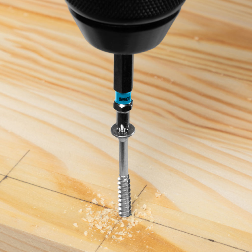 Бита Torx 25 х 50, сталь S2, 10 шт. Gross (11471)