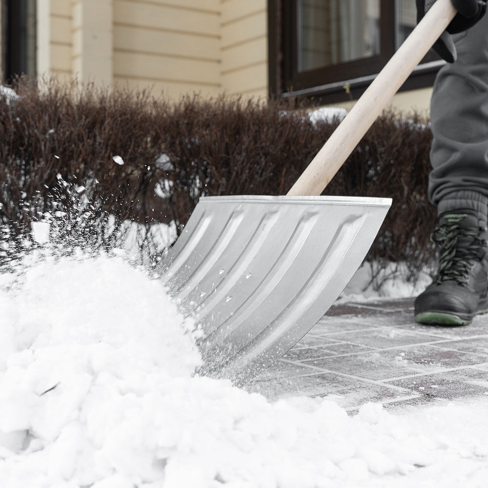 Лопата для уборки снега стальная оцинкованная, 420х370х1370 мм, деревянный черенок, Сибртех (61680)
