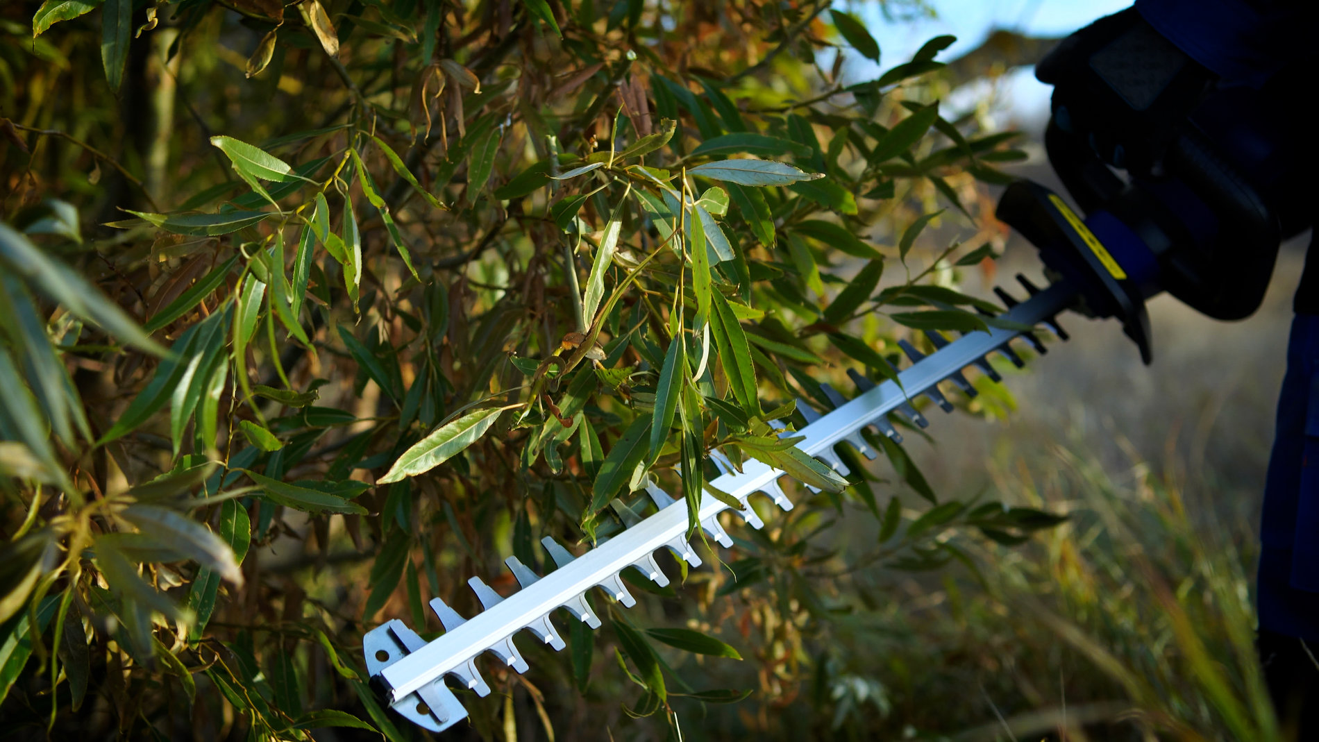 Кусторез аккумуляторный, 58В, 69 см.