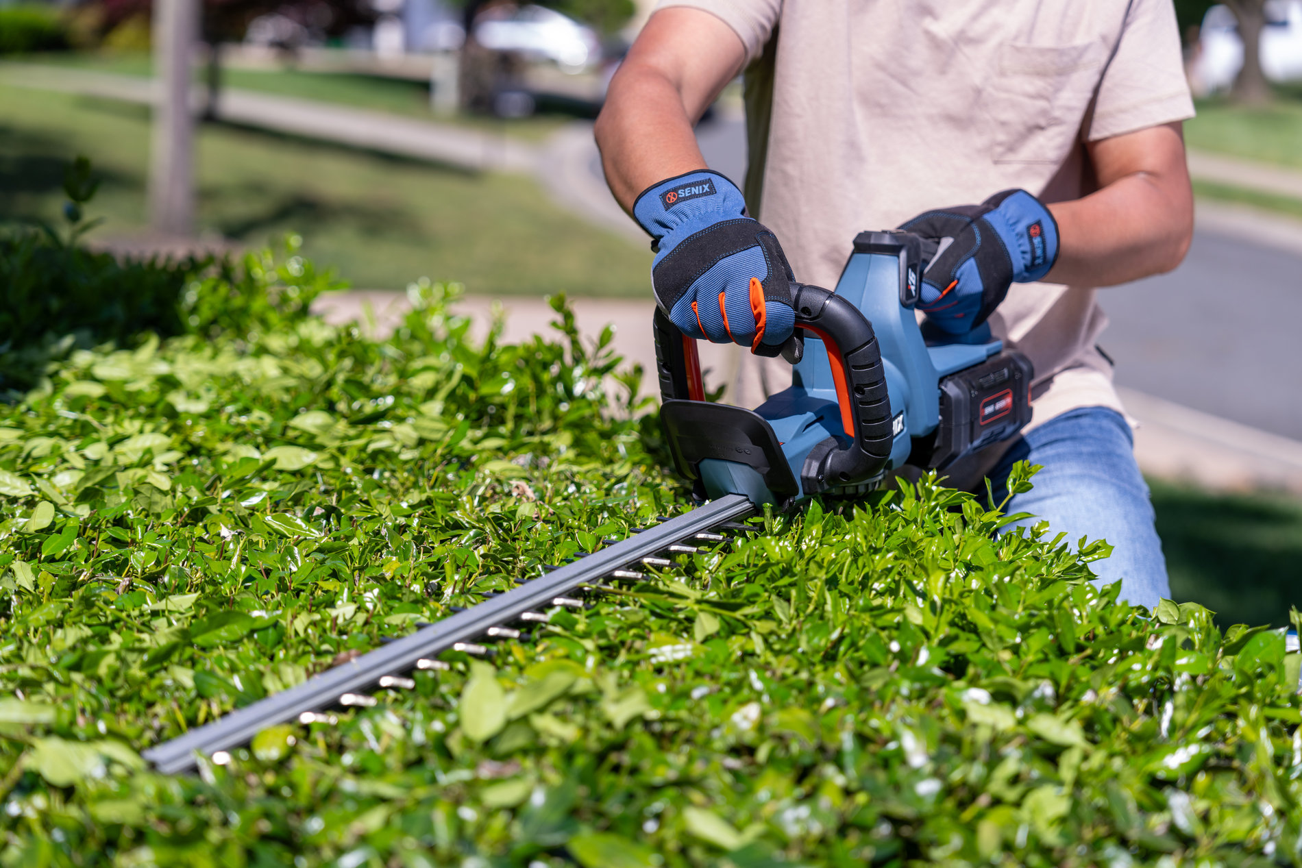 Кусторез аккумуляторный, 69 см, 1 аккумулятор 3Ач, ЗУ X6 60V