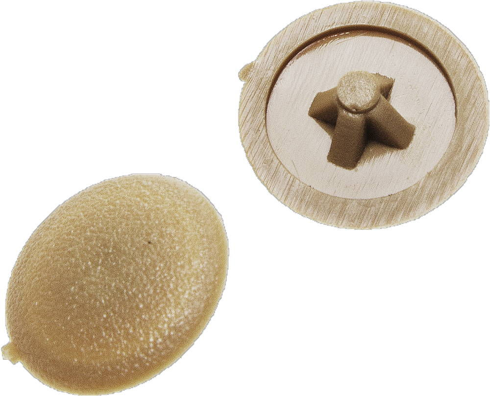 Заглушка декоративная под шуруп шлиц №2 цвет сосна, 40 шт ЗУБР 4-308156-4