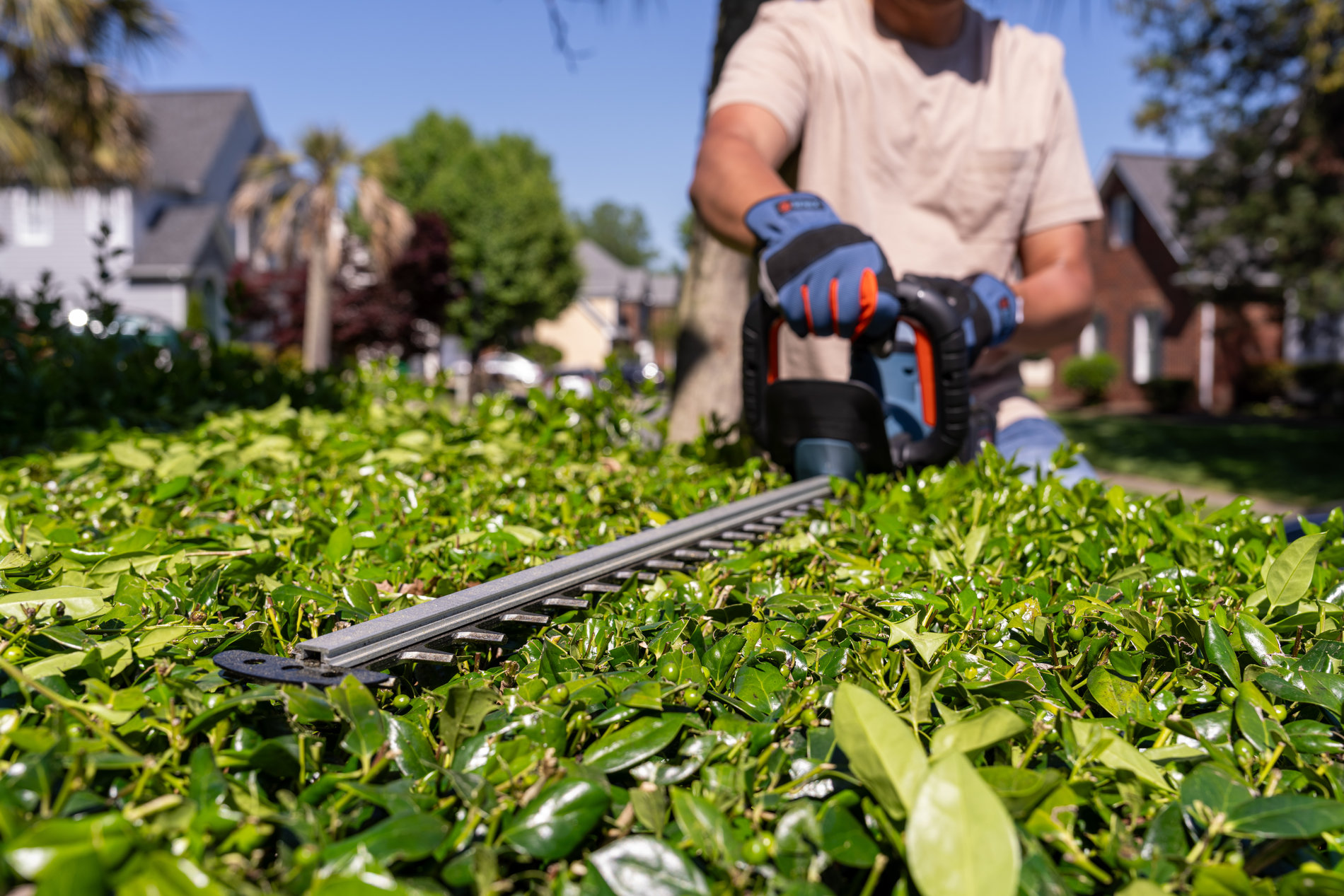 Кусторез аккумуляторный, 69 см, 1 аккумулятор 3Ач, ЗУ X6 60V