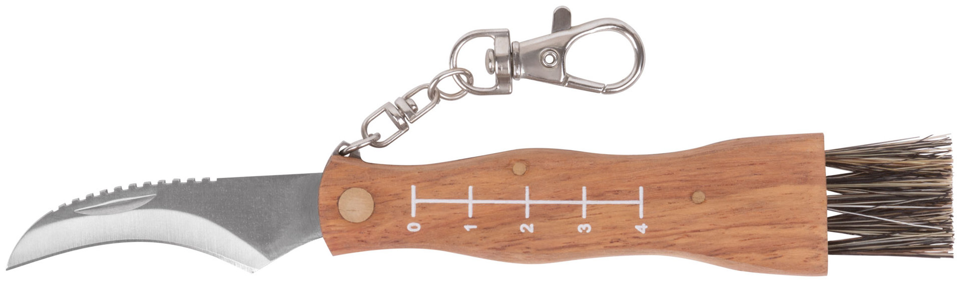 Нож грибника складной, нерж.сталь, деревянная ручка, 170 мм, изогнутое лезвие 45 мм, кисточка, брелок (10745)