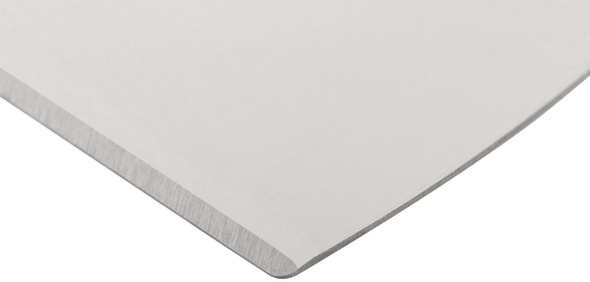 Шпатель для удаления ржавчины Профи, толщ. лезвия 1 мм, пластик.ручка с метал.бойком 3 (75 мм) (06400)