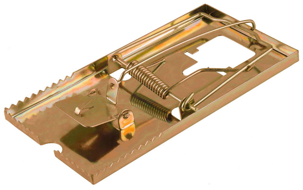 Крысоловка 155 х 85 мм, с металлическим основанием STAYER 40490-L