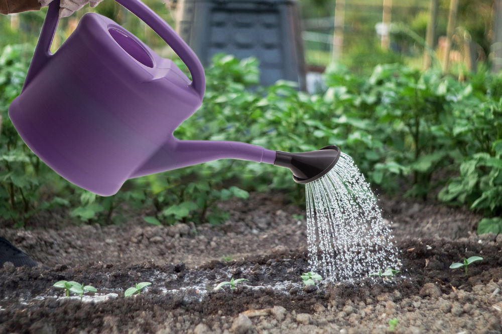 Лейка садовая, 8 л, пластмассовая (67515)