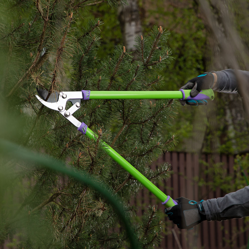 Сучкорез прямого реза, 750 мм, двухрычажный механизм, двухкомпонентные рукоятки, Palisad (60522)