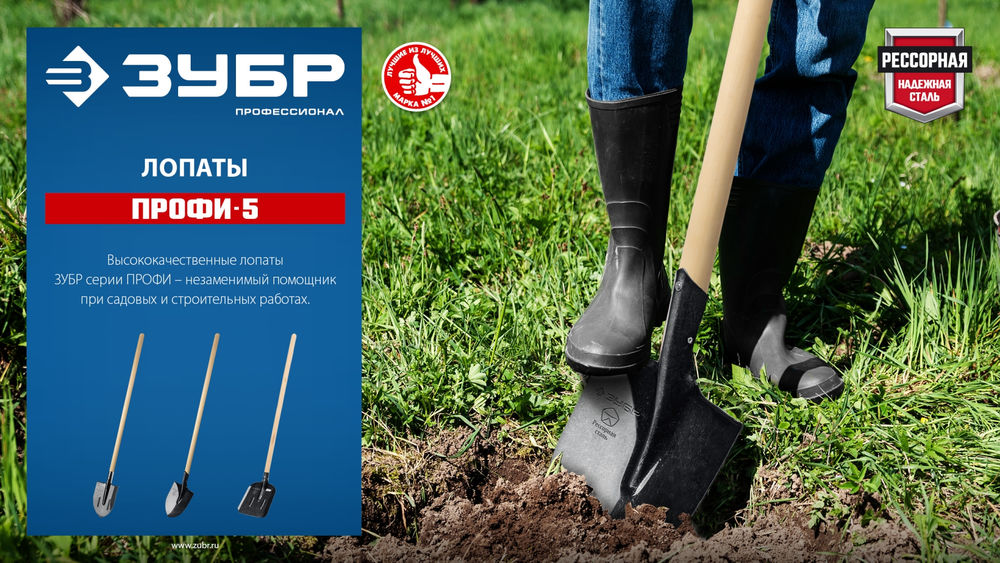 Совковая лопата тип ЛСП 350х230х1450мм полотно рессор.сталь 1.6мм закалено c ребрами жестк. черенок высш.сорт Профессионал ЗУБР ПРОФИ-5 39457
