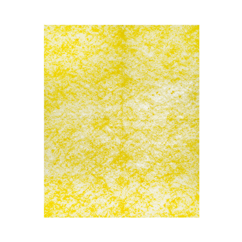 Салфетки вискозные универсальные, 300 x 380 мм, 3 шт., Home Palisad (923215)