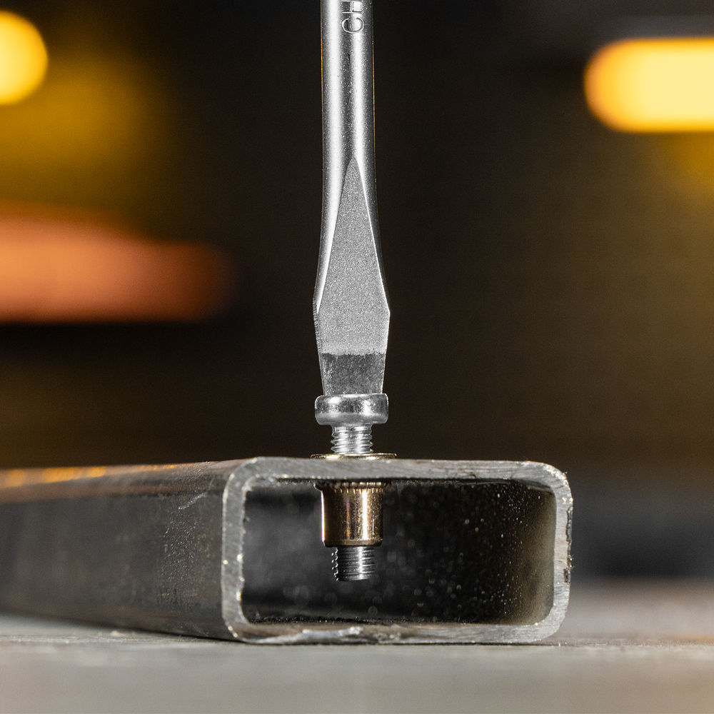 Заклепки резьбовые, стальные, оцинкованные, М5, пластиковый кейс, 100 шт. Denzel (40602)