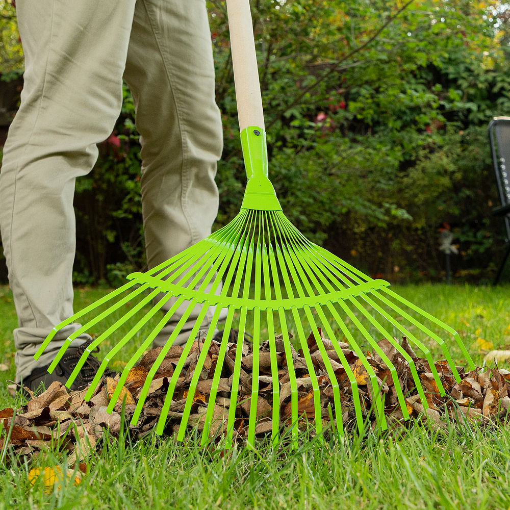 Грабли веерные стальные, 425 мм, 22 плоских зуба, эмалированные, без черенка, Palisad (617705)
