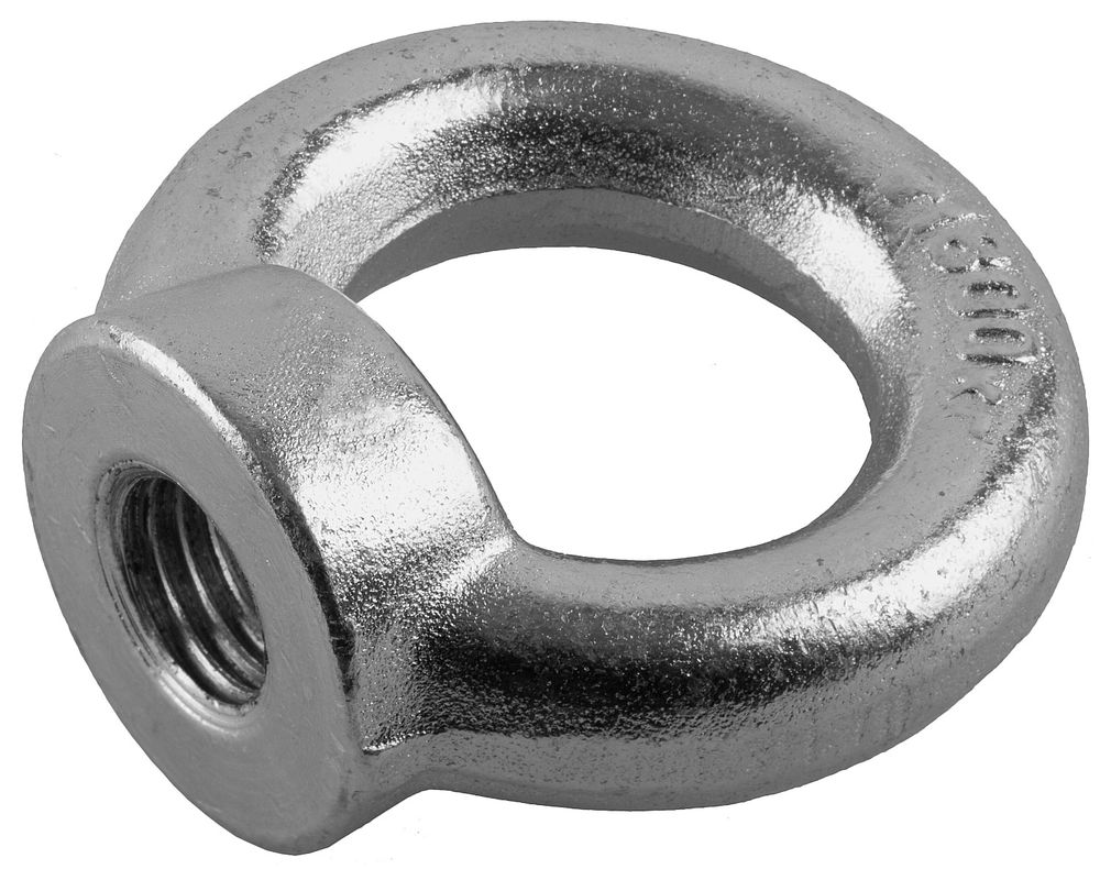 Рым-гайка М24, 2 шт, кованая ЗУБР DIN 582 Профессионал 4-304325-24