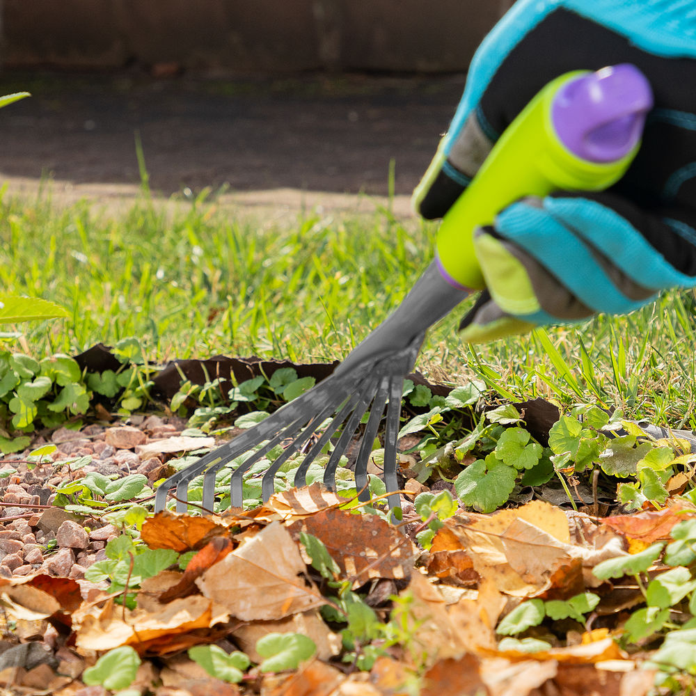 Грабли веерные 9 - зубые, 130 х 420 мм, стальные, пластиковая рукоятка, Connect, Palisad (63007)