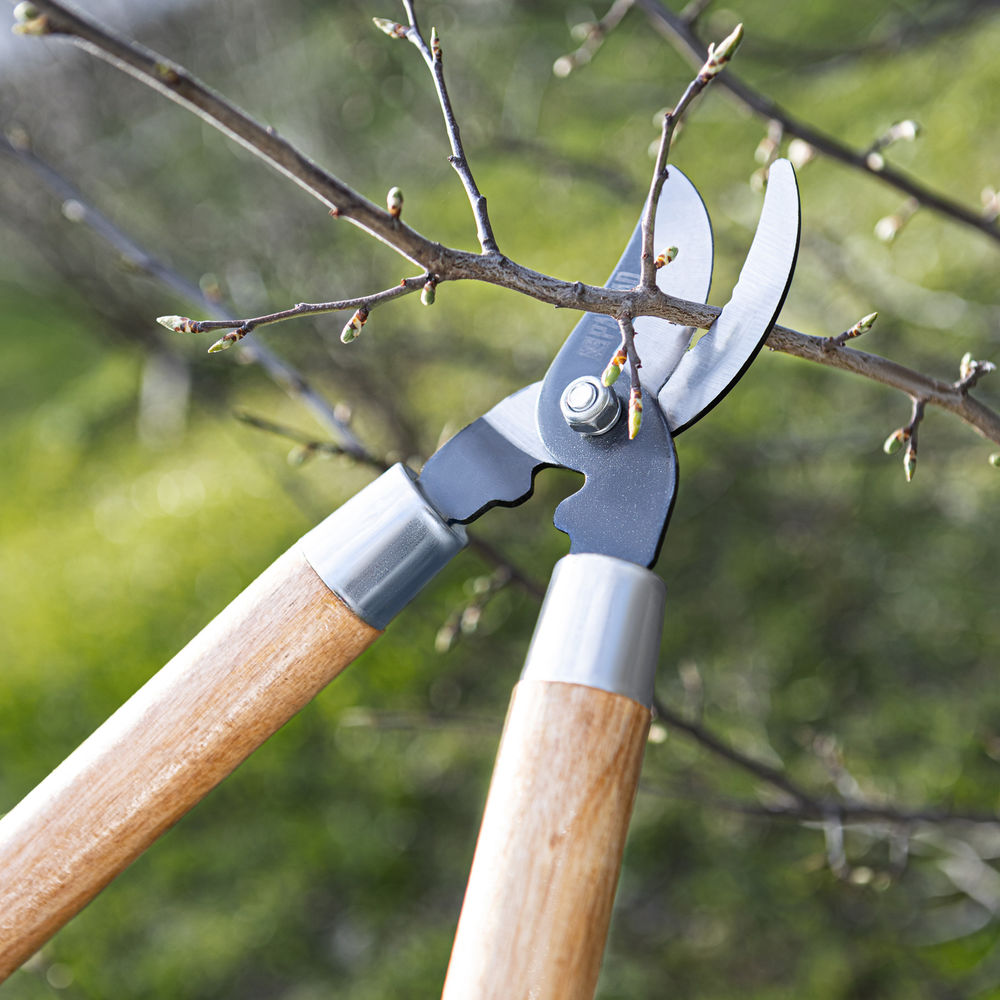 Сучкорез прямого реза, 640 мм, деревянные рукоятки, Palisad (605665)