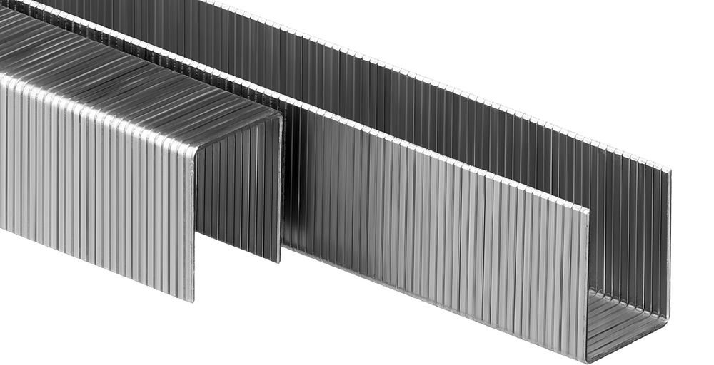 Скобы 16 мм, тип 80 (BeA/Prebena A/Senco AT), калибр 21GA, 5000 шт Профессионал ЗУБР 31880-16